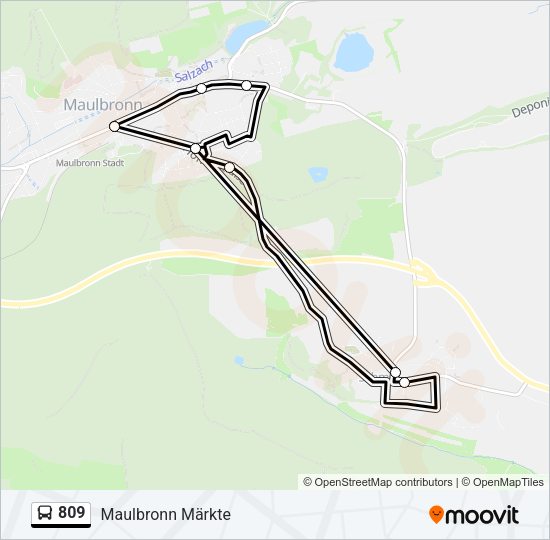 Автобус 809: карта маршрута