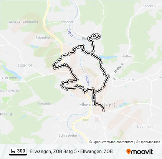 300 Bus Line Map