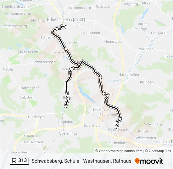 313 Bus Line Map