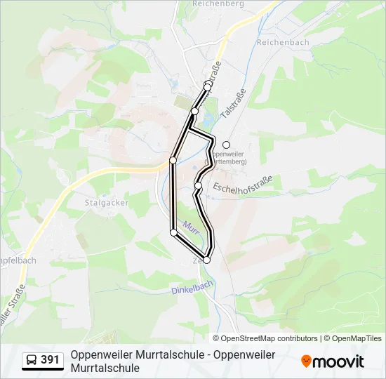 391 Bus Line Map