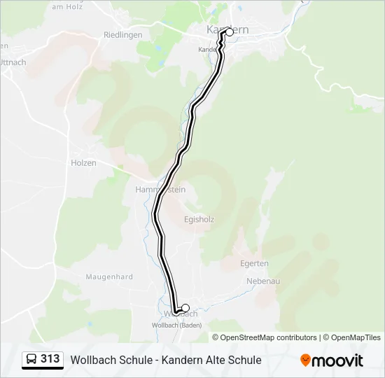313 Bus Line Map
