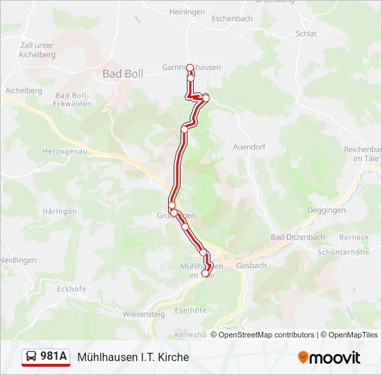981A Bus Line Map