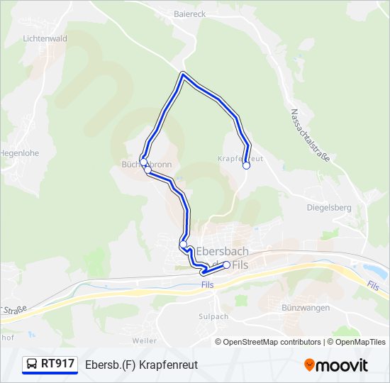 RT917 bus Line Map