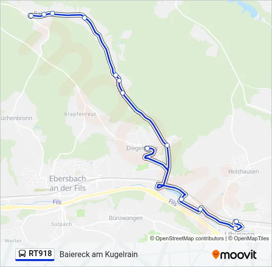 RT918 Bus Line Map