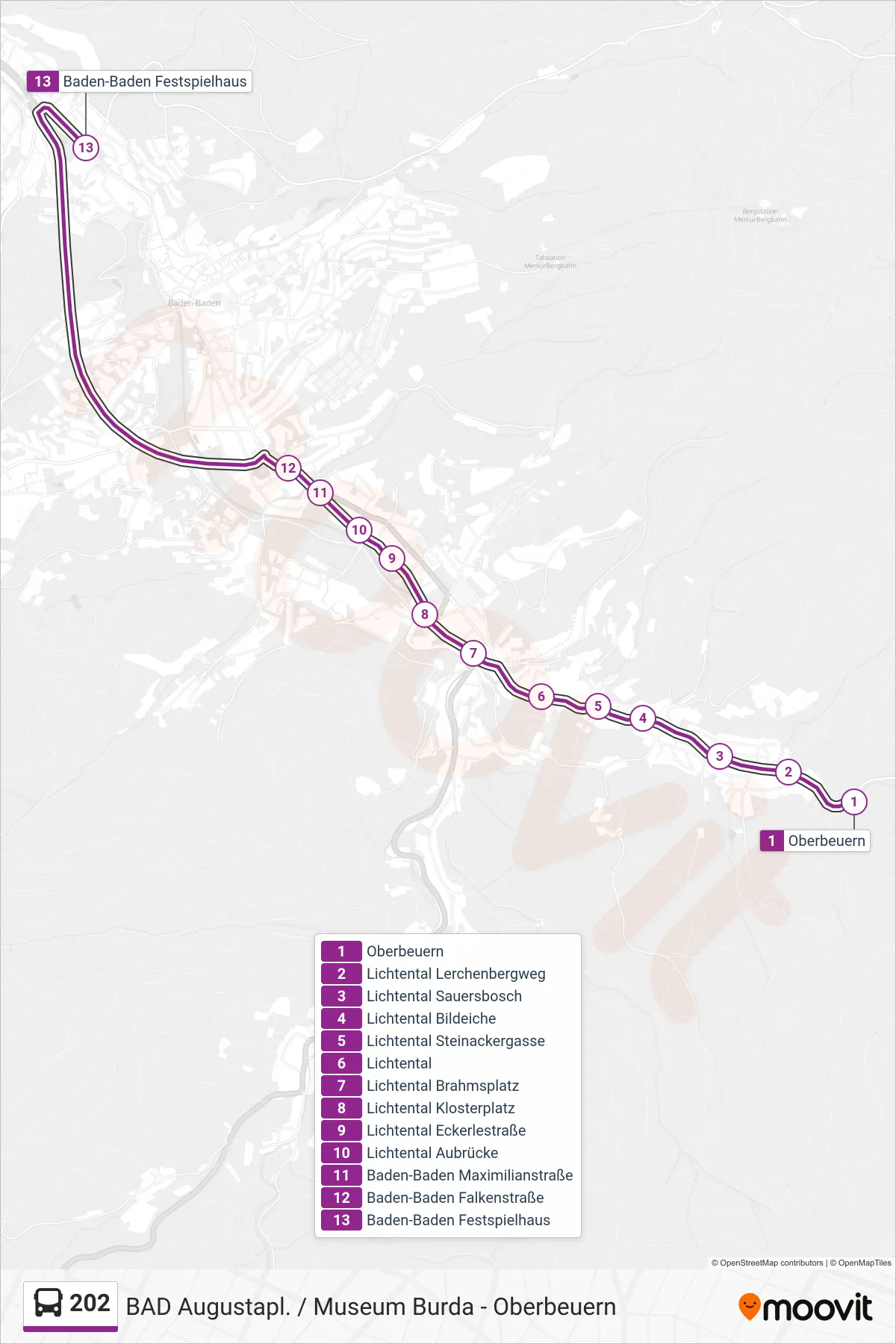 202 bus Line (Baden-Baden Festspielhaus) route and stops on a map