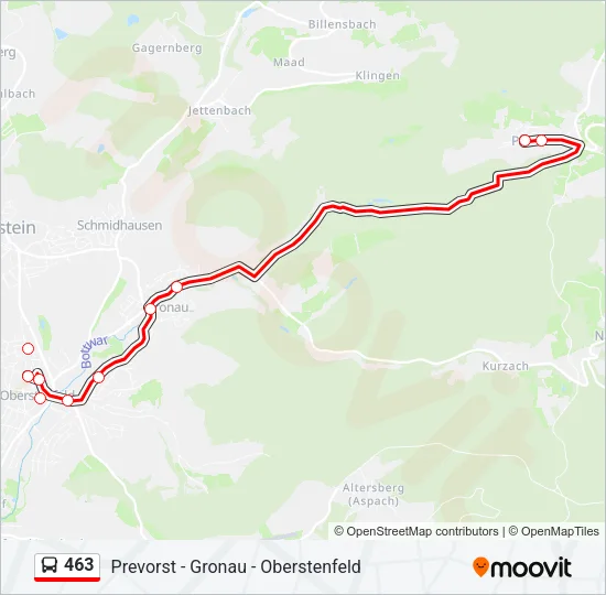 463 Bus Line Map