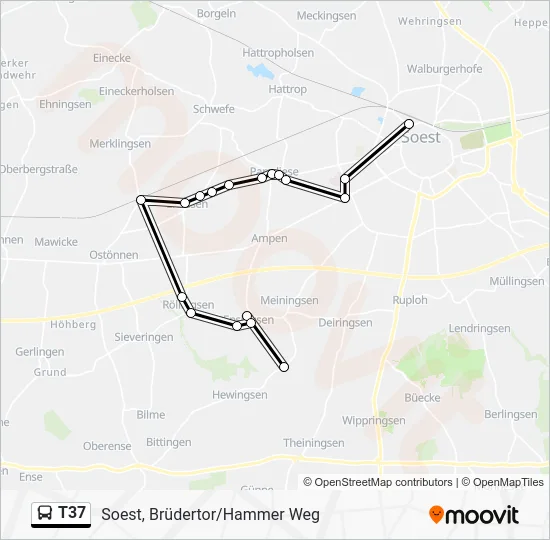 Автобус T37: карта маршрута