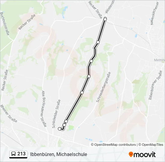 213 Bus Line Map