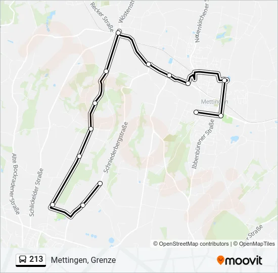 213 Bus Line Map
