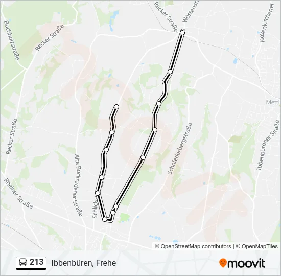 213 Bus Line Map