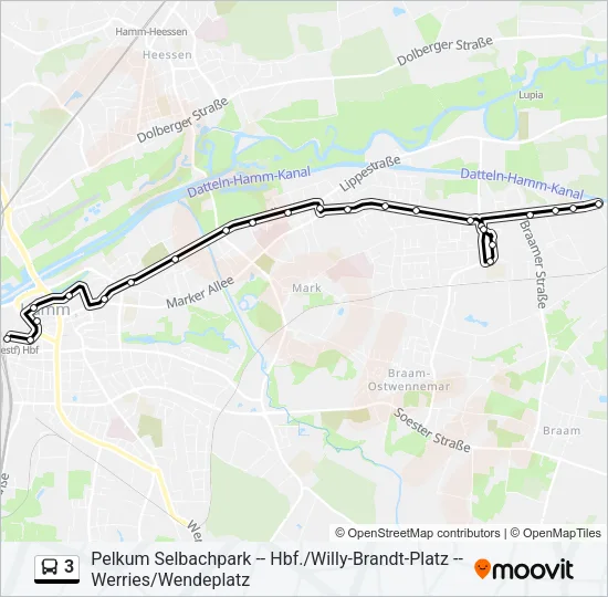 3 Bus Line Map