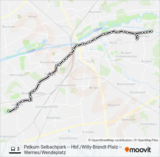 3 Bus Line Map