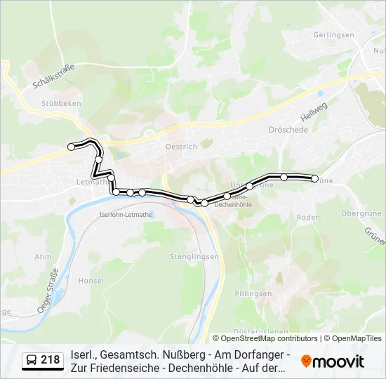 218 Bus Line Map