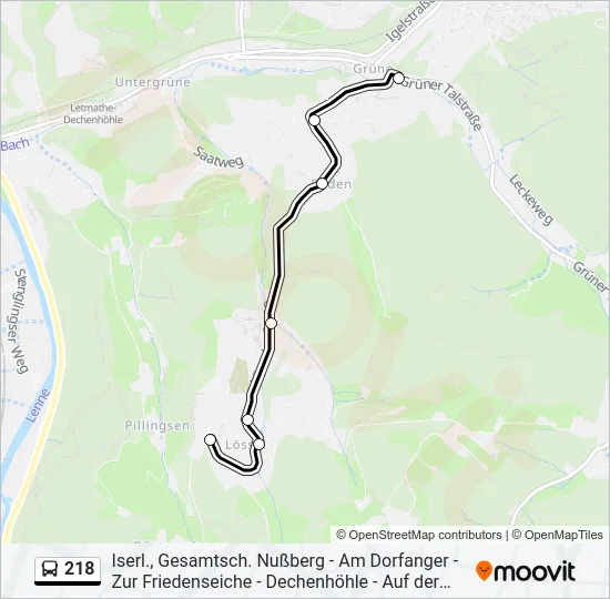 218 Bus Line Map