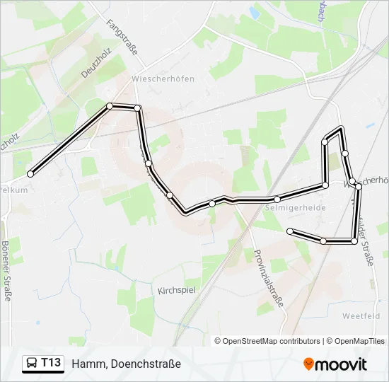 T13 Bus Line Map