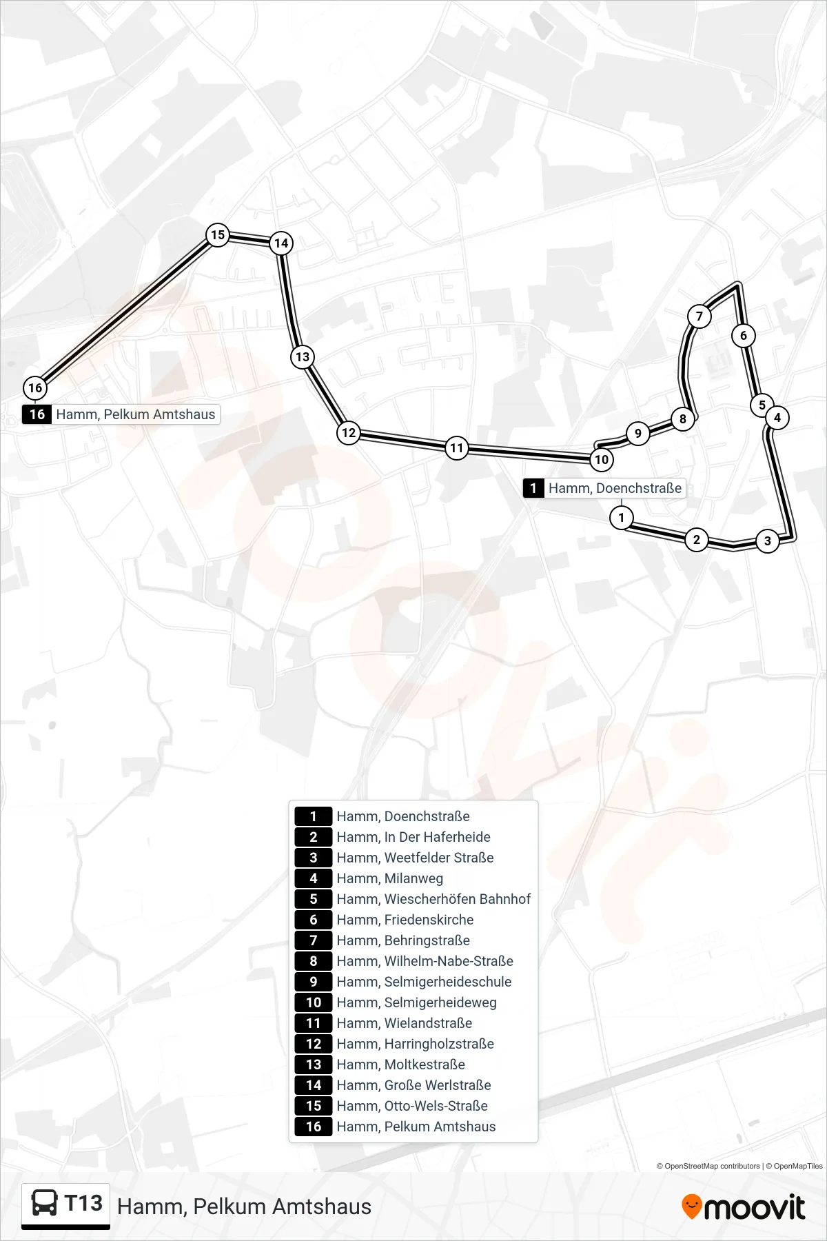 T13 bus Line (Hamm, Pelkum Amtshaus) route and stops on a map