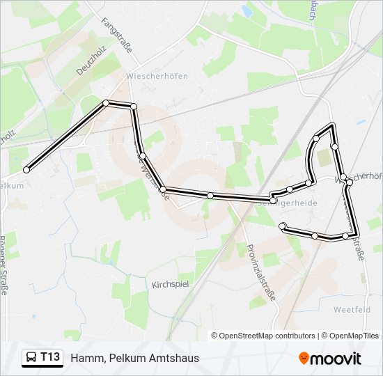T13 Bus Line Map