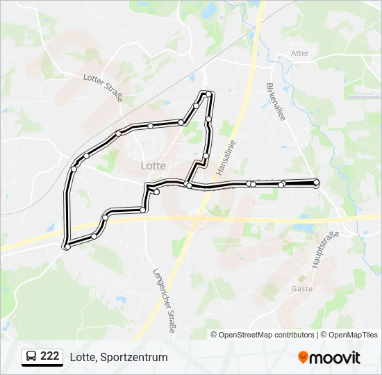 222 Bus Line Map