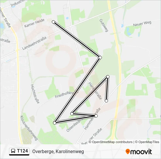 Автобус T124: карта маршрута