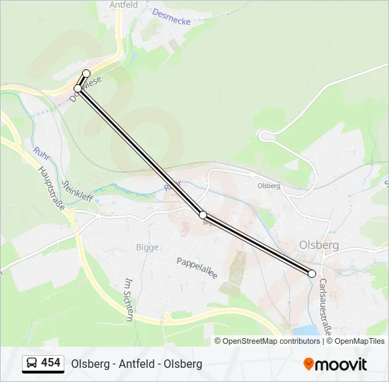 454 Bus Line Map