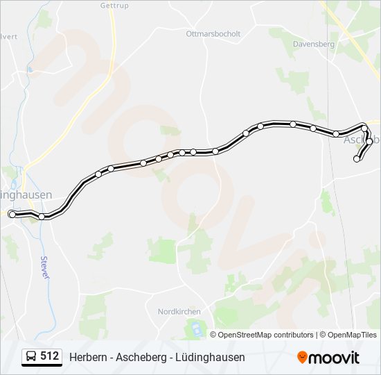 512 Route: Schedules, Stops & Maps - Ascheberg, Schulzentrum (Updated)