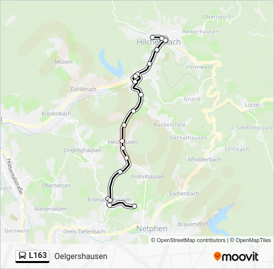 Автобус L163: карта маршрута