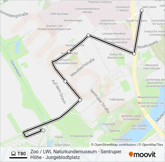 T80 Bus Line Map