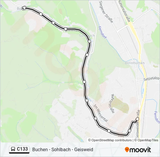 C133 Bus Line Map