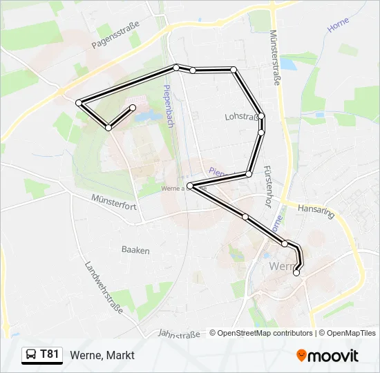 T81 Bus Line Map