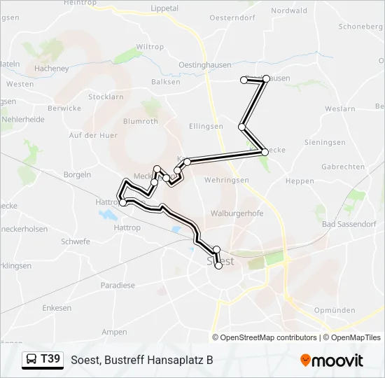 T39 Bus Line Map
