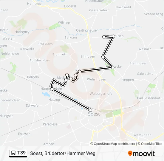 Автобус T39: карта маршрута