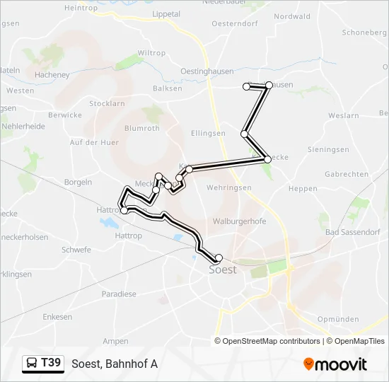 Автобус T39: карта маршрута