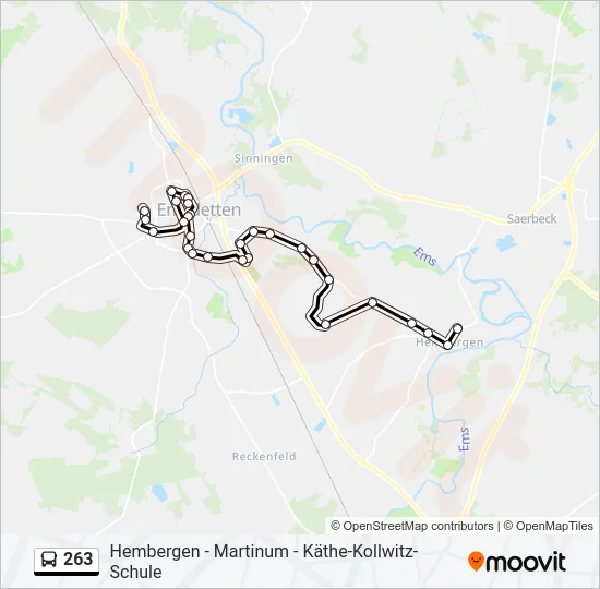 263 Bus Line Map