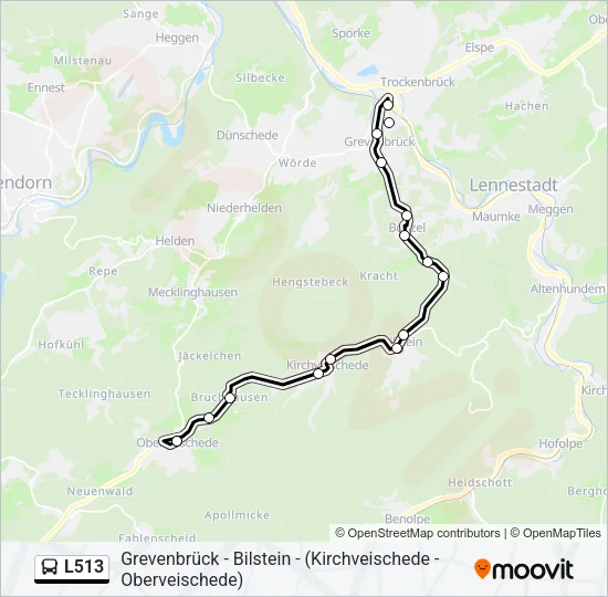 L513 Bus Line Map