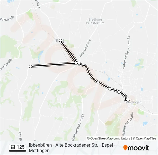 125 Bus Line Map