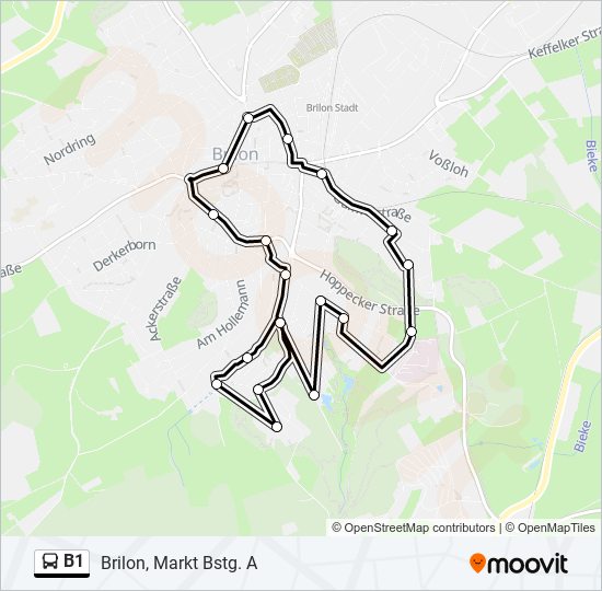 b1 Route: Schedules, Stops & Maps - Brilon, Markt Bstg. A (Updated)