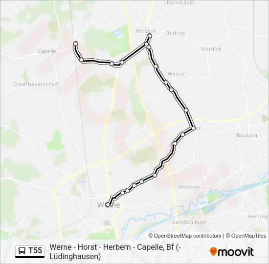 T55 Bus Line Map