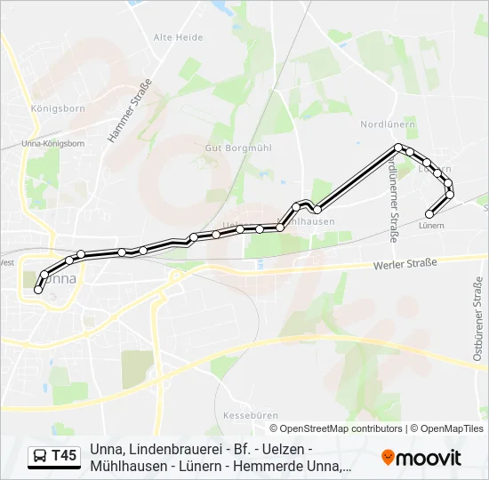 T45 Bus Line Map