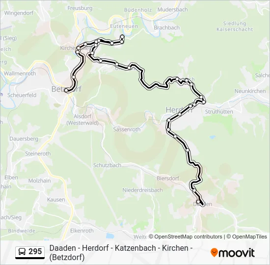 Автобус 295: карта маршрута