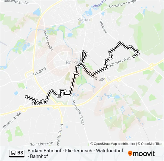 B8 Bus Line Map