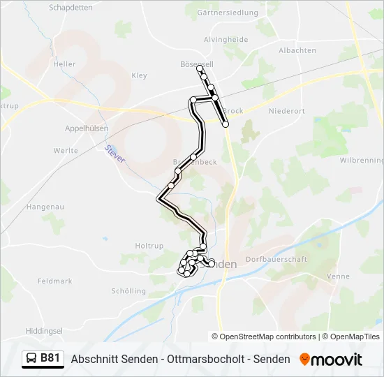 B81 Bus Line Map