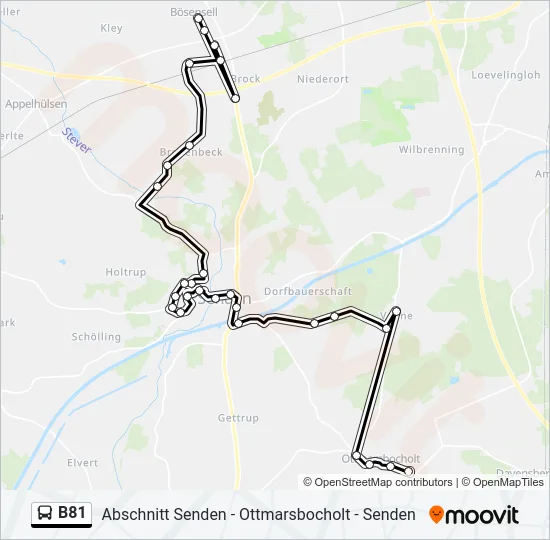 B81 Bus Line Map