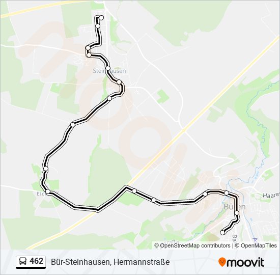 462 Route: Schedules, Stops & Maps - Bür-Steinhausen, Hermannstraße ...