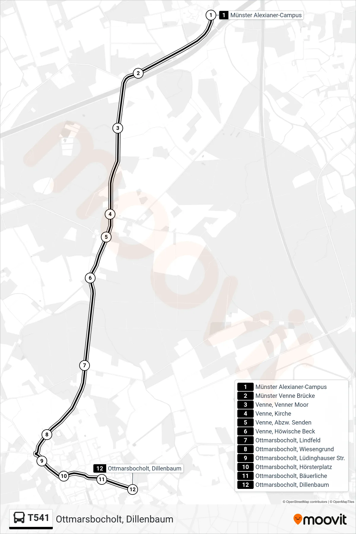 Linie T541 (Bus) Richtung Ottmarsbocholt, Dillenbaum: Route und Haltestellen auf der Karte