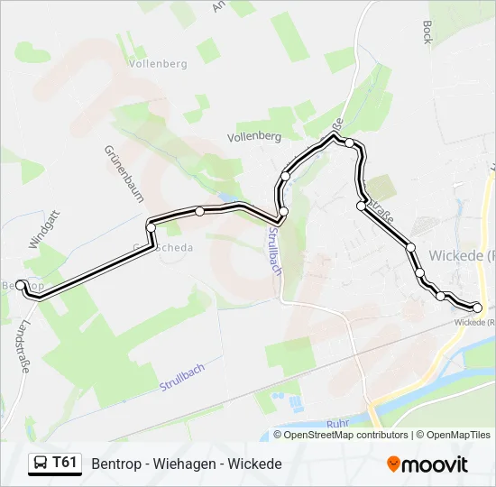 T61 Bus Line Map