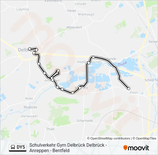DY5 Bus Line Map