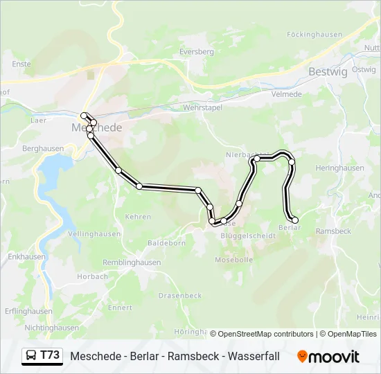 T73 Bus Line Map