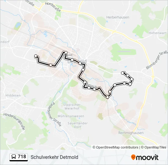 718 Bus Line Map