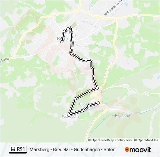 R91 Bus Line Map