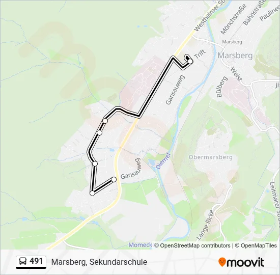 491 Bus Line Map